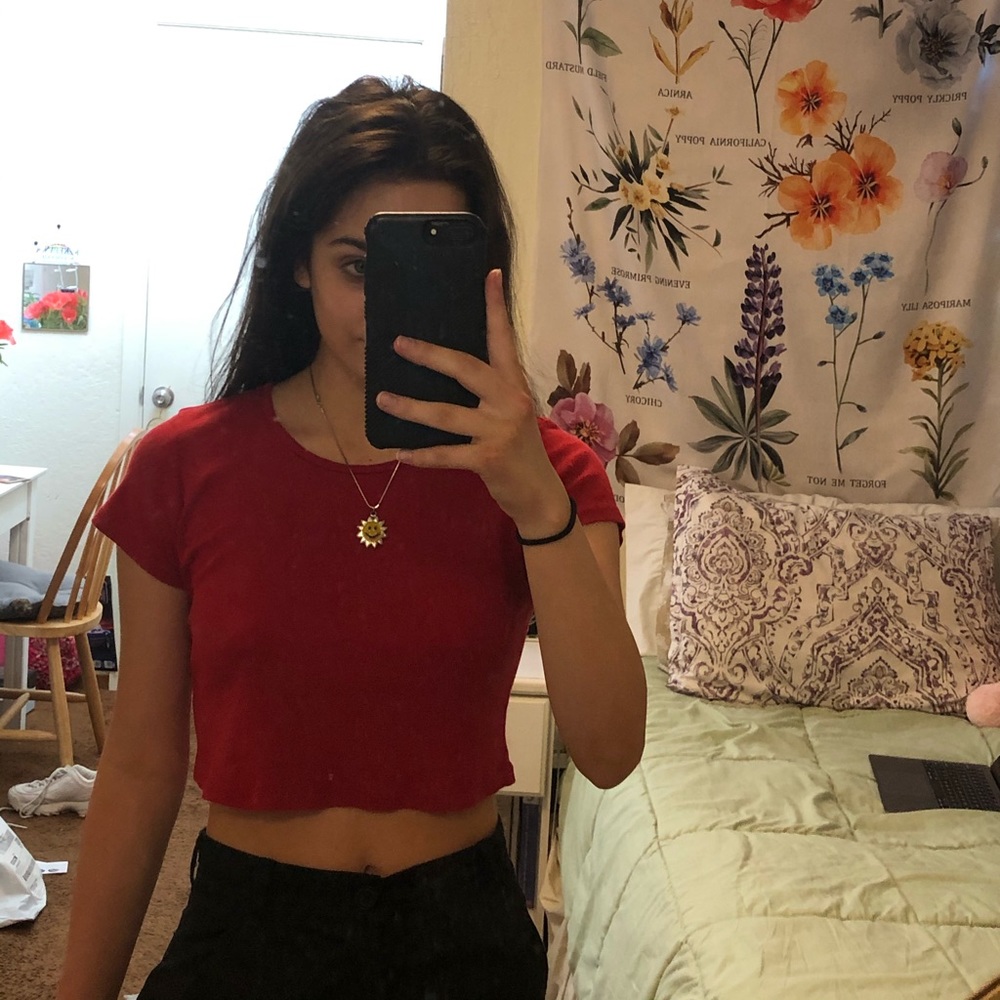Brandy Melville cropped tee (one size fits all)